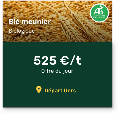 Offre de blé