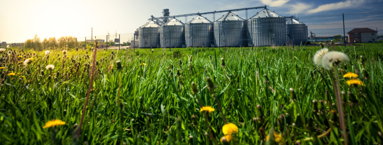 Stockage en silos